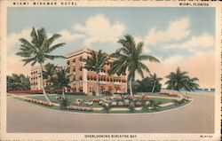 Miami Miramar Hotel Florida Postcard Postcard Postcard