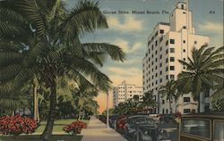 Ocean Drive Miami Beach, FL Postcard Postcard Postcard