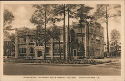 Gymnasium, Louisiana State Normal College Postcard