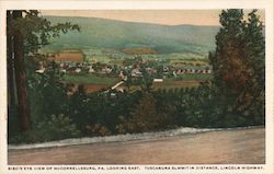 Bird's Eye View of McConnellsburg, Looking East Pennsylvania Postcard Postcard Postcard