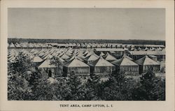 Tent Area, Camp Upton, Long Island Postcard