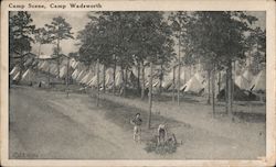Camp Scene, Camp Wadsworth - WWI Postcard