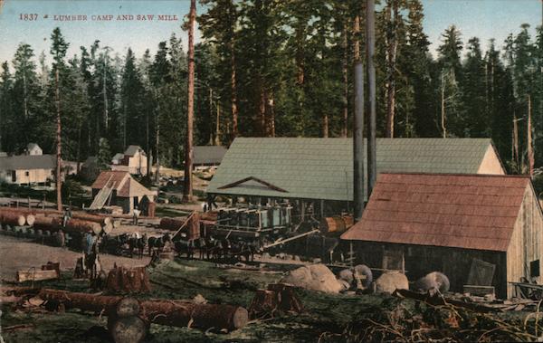 Lumber Camp and Saw Mill Logging