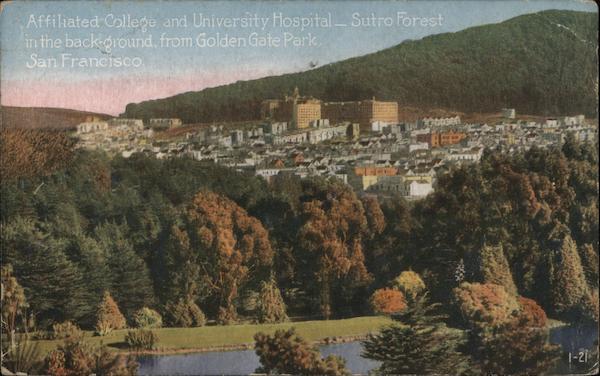 Affiliated College and University Hospital - Sutro Forest - Golden Gate Park San Francisco California