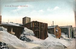 Some of Tonopah's Residences Postcard