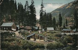 Mineral King Camp Postcard