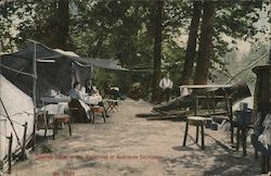 Camping Scene in the Mountains of Northern California Postcard
