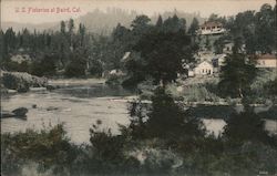 Stock #898593 Thumbnail