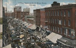 A Busy Scene on South Water Street, Chicago Postcard