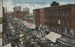 A Busy Scene on South Water Street, Chicago Illinois Postcard Postcard Postcard