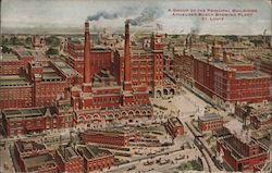 A Group of the Principal Buildings. Anheuser-Busch Brewing Plant Postcard