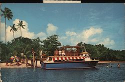 oLooLooToo Storck Cruisess - Fiji Islands Postcard