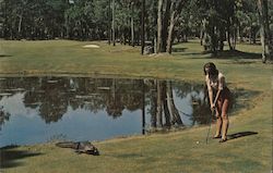 The Adventure Inn Executive Golf Course Hilton Head Island, SC Postcard Postcard Postcard