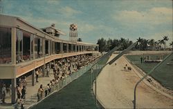 Palm Beach Kennel Club, World's Newest, Most Modern Greyhound Course Postcard