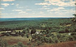 Twin Pine Camp in the Pocono Mountains Postcard