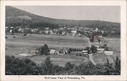 Bird's-eye View Postcard