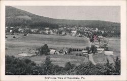 Bird's-eye View Nuremberg, PA Postcard Postcard Postcard