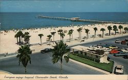 Everyone Enjoys Tropical Clearwater Beach Florida Postcard Postcard Postcard