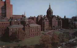 The Johns Hopkins Hospital Postcard