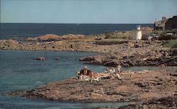 Lobster Point Light and Marginal Way Postcard