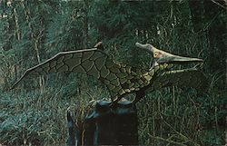 Pteranodon - Prehistoric Gardens Port Orford, OR Postcard Postcard Postcard