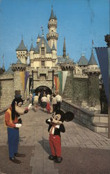 Mickey and Goofy Taking Pictures, Disneyland Postcard