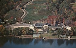 The Main Buildings of Gold Seal Vineyards Postcard