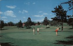 Madden Pine Beach Inn and Golf Course Brainerd, MN Postcard Postcard Postcard