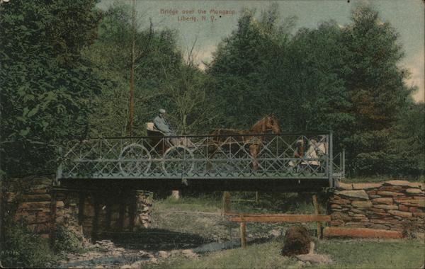 Bridge Over the Mongaup Liberty New York