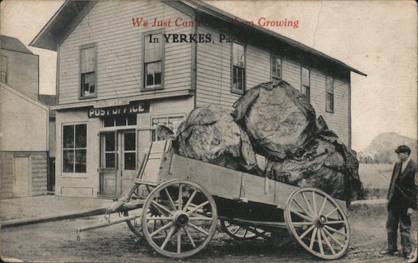 The Post Office, with a broken wagon, filled with giant heads of lettuce - We Just Can't Stop Them From Growing