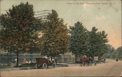 Scene at the Zoo, Delaware Park Postcard