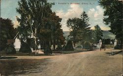Entrance to Woodlawn Postcard