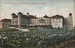 Potter Hotel, showing Lily Field Santa Barbara, CA Postcard Postcard Postcard