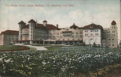 Potter Hotel, showing Lily Field Postcard