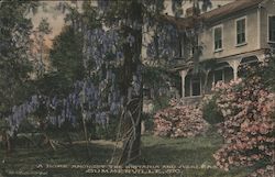 Home Amongst the Wisteria and Azaleas Postcard