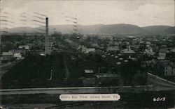 Bird's Eye View Jersey Shore, PA Postcard Postcard Postcard