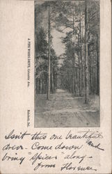 A Pine Woods Drive, Columbia Avenue Postcard