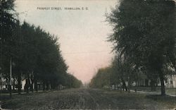 Prospect Street Postcard