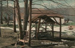 The Spring at Bushkill Park Easton, PA Postcard Postcard Postcard