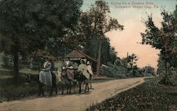Going For a Donkey Ride Postcard
