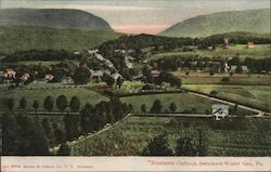 Rineharts Outlook Delaware Water Gap, PA Postcard Postcard Postcard