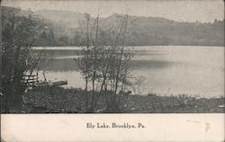 Ely Lake Brooklyn, PA Postcard Postcard Postcard