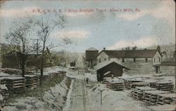 P.S. & N. R.R. 2 Miles Straight Track Allens Mills, PA Postcard Postcard Postcard