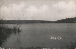 View of Lewis Lake Postcard
