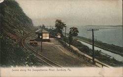 Scene Along the Susquehanna River Sunbury, PA Postcard Postcard Postcard