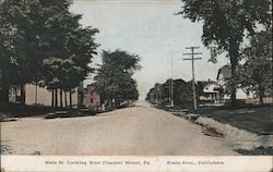 Main Street Looking West Pleasant Mount, PA Postcard Postcard Postcard