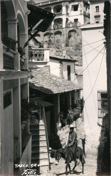 Man on Donkey Taxco Mexico