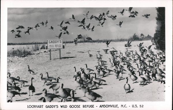 Lockhart Gaddy's Wild Goose Refuge Ansonville North Carolina