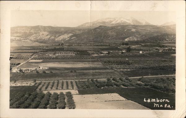 Lamborn Mesa Paonia Colorado