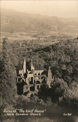 Ruins of "The Wolf House", Jack London Ranch Glen Ellen, CA Postcard Postcard Postcard